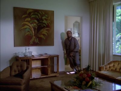 [ EXPLOSION ] - Hawaii Five-O