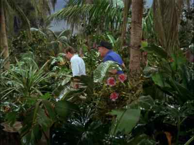 [EXPLOSION] - Gilligan's Island