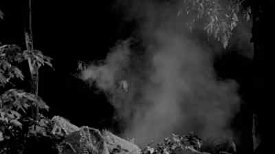 (Explosions popping, hissing)
(monsters growling) - The Horror of Party Beach