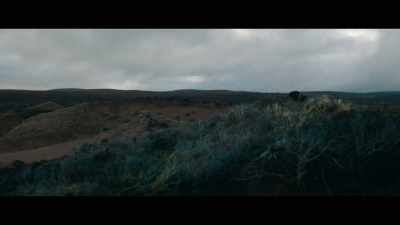 Exposed to incessant wind... - Out of Darkness