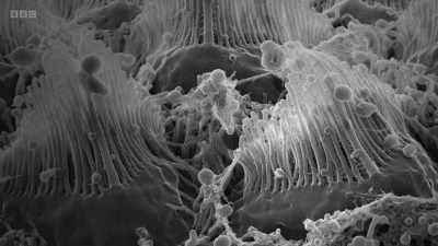 ..exquisite palaces... - Secrets of Size: Atoms to Supergalaxies