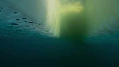 Extraordinary newcomers
appear from the depths. - Planet Earth III