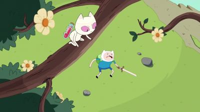Face me, cat! - Adventure Time