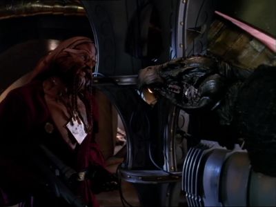 Face the wall and spread your feathers big guy - Farscape