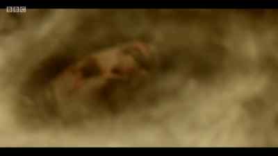 Facial features
partially obliterated, - Cardinal