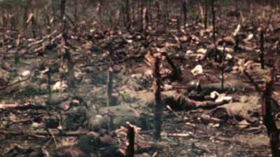 FACING THOUSANDS OF CORPSES
ON EVERY ISLAND, - The Pacific War in Color
