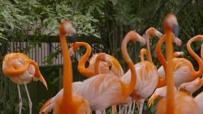 Fact that they just allow us - Secrets of the Zoo