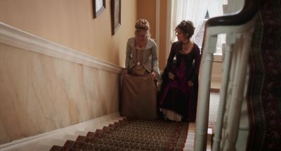 Facts are horrid things - Love &amp; Friendship