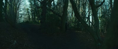 [faint chatter] - Wolf Garden