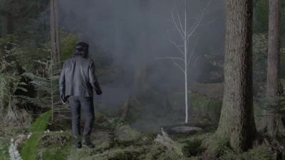 [faint electrical scratching] - Twin Peaks