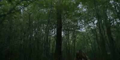 [Faint humming] - The Midwich Cuckoos