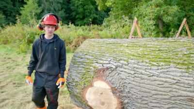 Fairly big -
big enough to play with. - Handmade: Britain's Best Woodworker