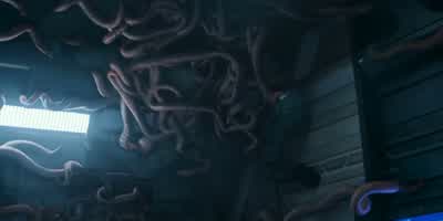 Fall back! - Halo