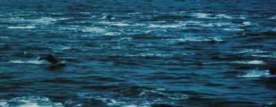 False alarms were common, - 20,000 Leagues Under the Sea