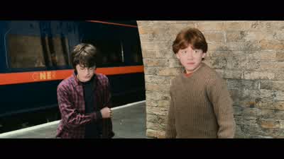 Famous Harry Potter. - Harry Potter and the Chamber of Secrets