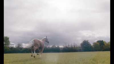 Fandango. - Mothering Sunday