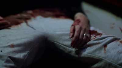 Fanning:
THERE WAS BLOOD EVERYWHERE. - An American Murder Mystery: The Staircase
