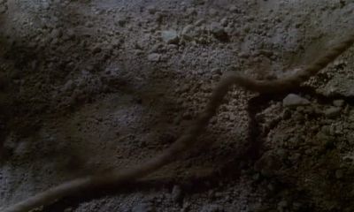 FAR TOO MUCH RESPONSIBILITY FOR ME - Encino Man