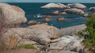 Farther down
the shoreline at Burghers' Walk... - Penguin Town