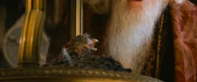 Fascinating creatures, phoenixes. - Harry Potter and the Chamber of Secrets