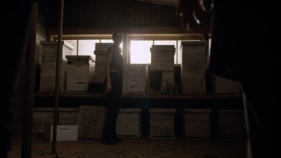 Fascinating. - The Blacklist