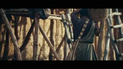  - Fast building is essential
 if the aging emperor vespasian - Colosseum