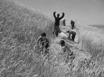 Faster! Faster!
Make that thing wider! - The Good Earth