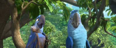 Faster. - Rio 2