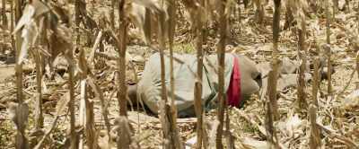 Father! - The Boy Who Harnessed the Wind