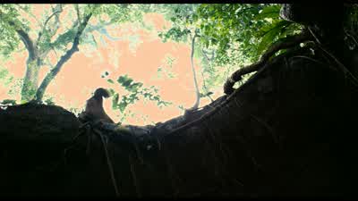 Father! - Apocalypto