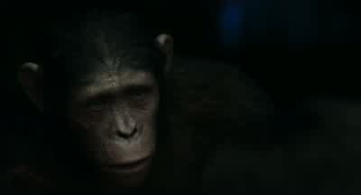 Father. - Dawn of the Planet of the Apes