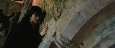 Fawkes is a phoenix, Harry. - Harry Potter and the Chamber of Secrets