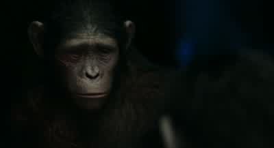 Fear makes others follow. - Dawn of the Planet of the Apes