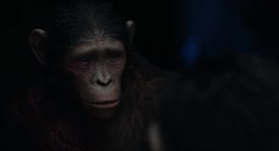 Fear makes others follow - Dawn of the Planet of the Apes