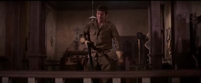Feathers flew like a turkey - The Wild Bunch