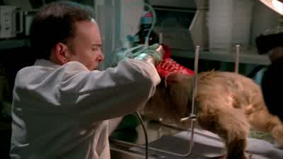 Federal agents. - Fringe