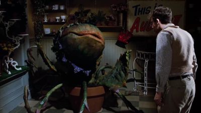 Feed me Seymour - Little Shop of Horrors