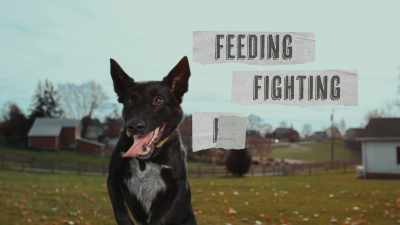 Feeding, - Inside the Mind of a Dog