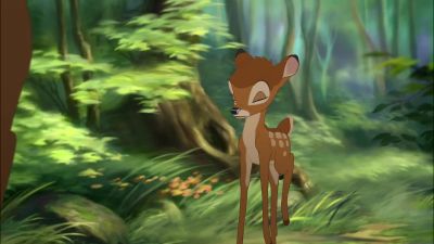 Feel the forest Feel the forest - Bambi 2: The Great Prince of the Forest