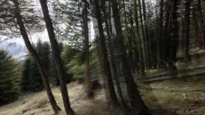Feet caked in blood - Yellowstone: One-Fifty