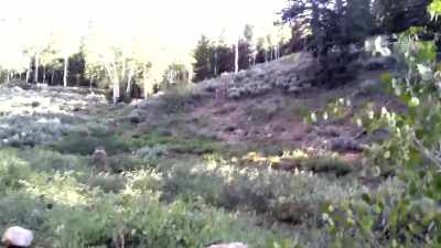 (feet rustling) - Horror in the High Desert