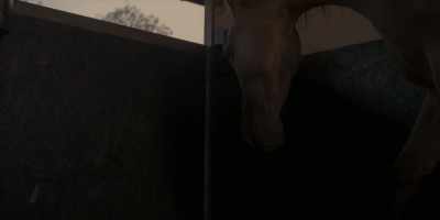 [Feet stomping,
horses neighing] - The Midwich Cuckoos
