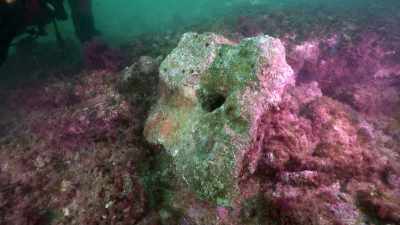 FELIX: Probably a
columbarium at least Roman. - Atlantis Rising