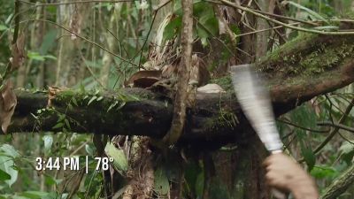 [Fernando] Seems like
a storm is coming, - Naked and Afraid
