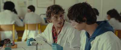 (ferrets continue squeaking) - The Animal Kingdom