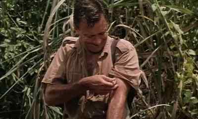 Ferris, shoot me now. - The 7th Dawn
