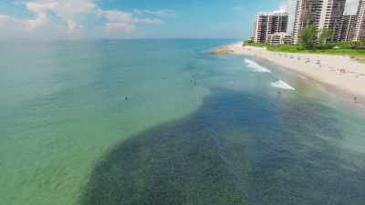 Few people on the beach
are even aware of them. - Seven Worlds, One Planet
