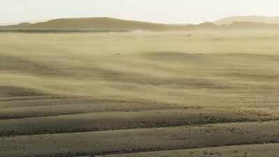 Few things can tame this
fierce landscape... - Wild Isles