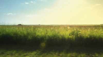 "Field work costs
a lot of energy - Finding Yingying