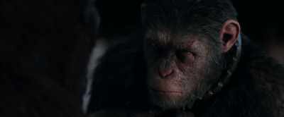 Fifty-five to the children. - War for the Planet of the Apes